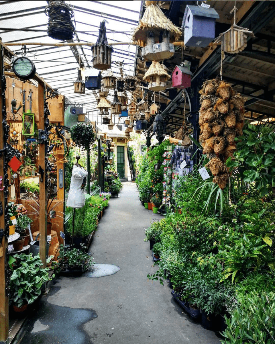 que ver ile de la cité mercado flores paris