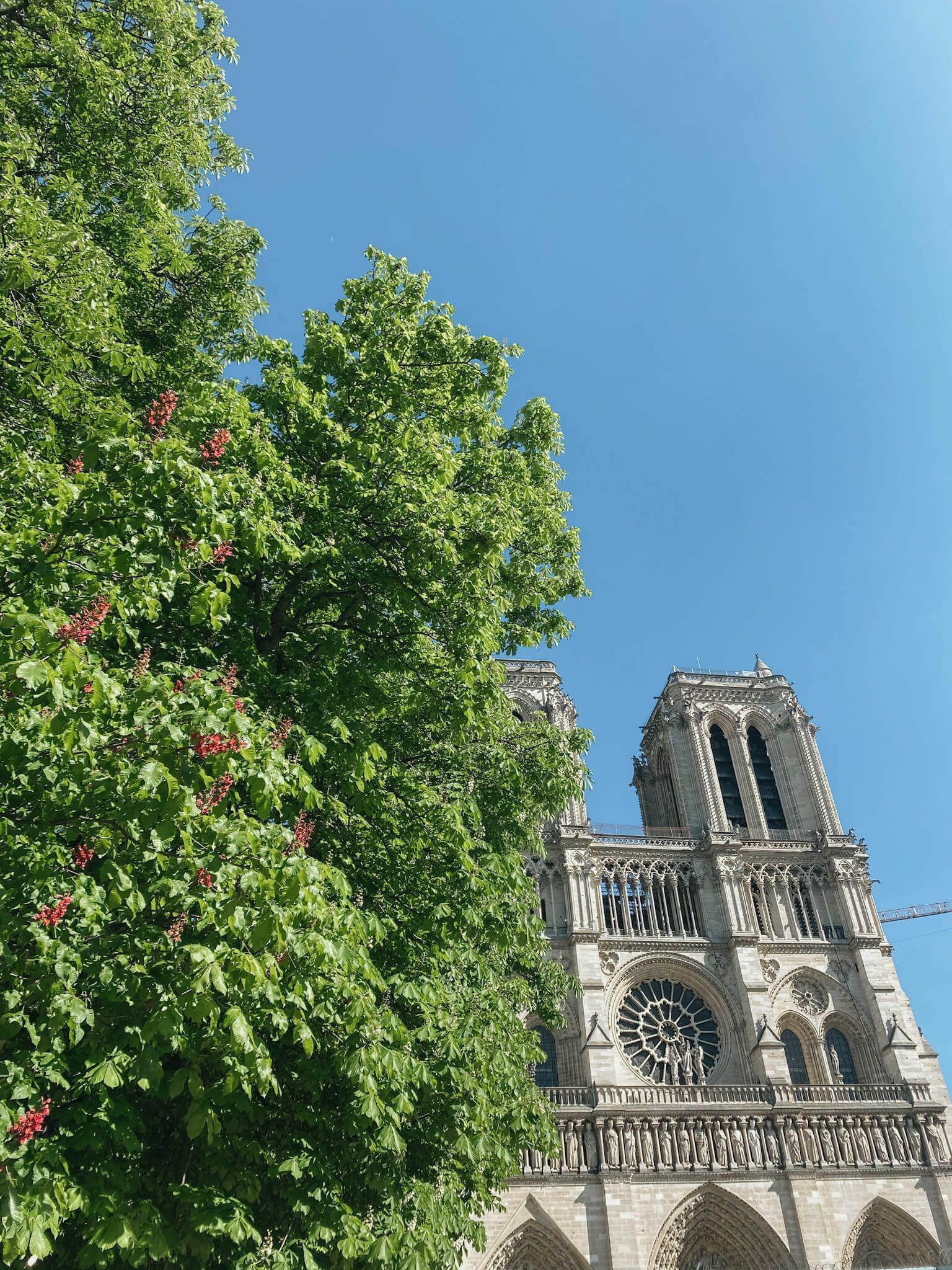visitar notre dame