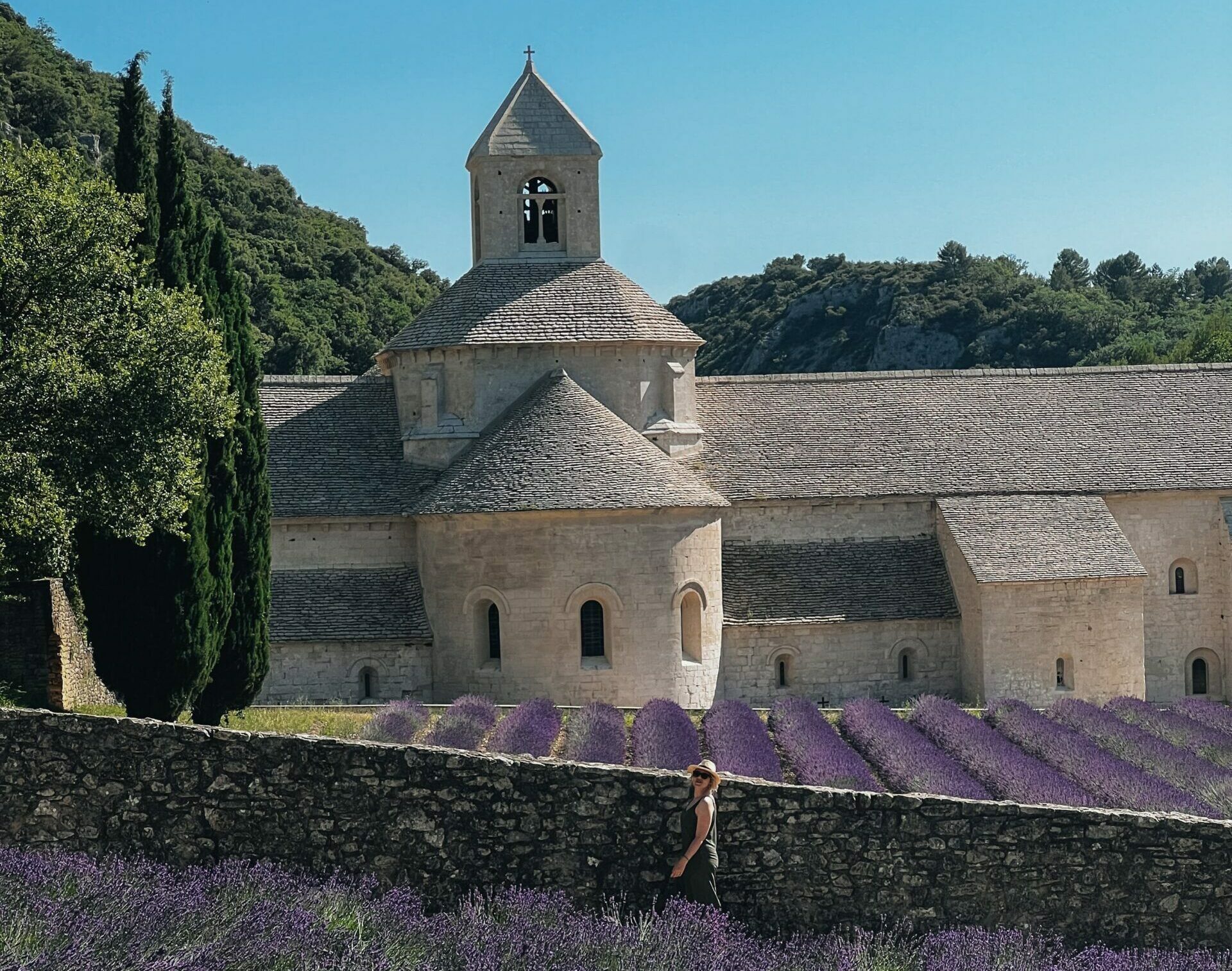 campos de lavanda en la provenza