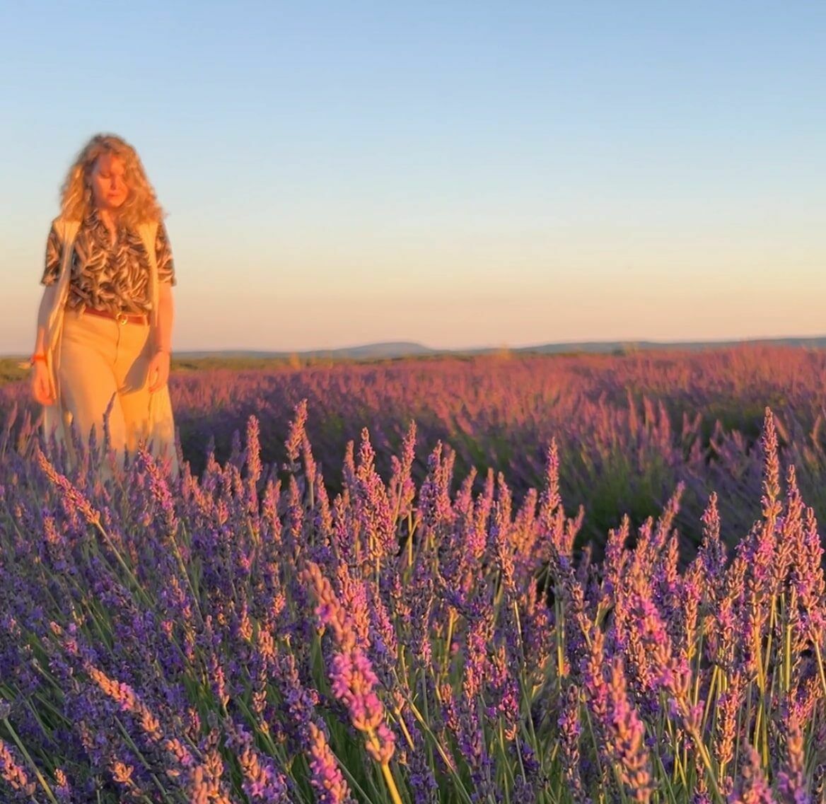 campos de lavanda en la provenza francesa