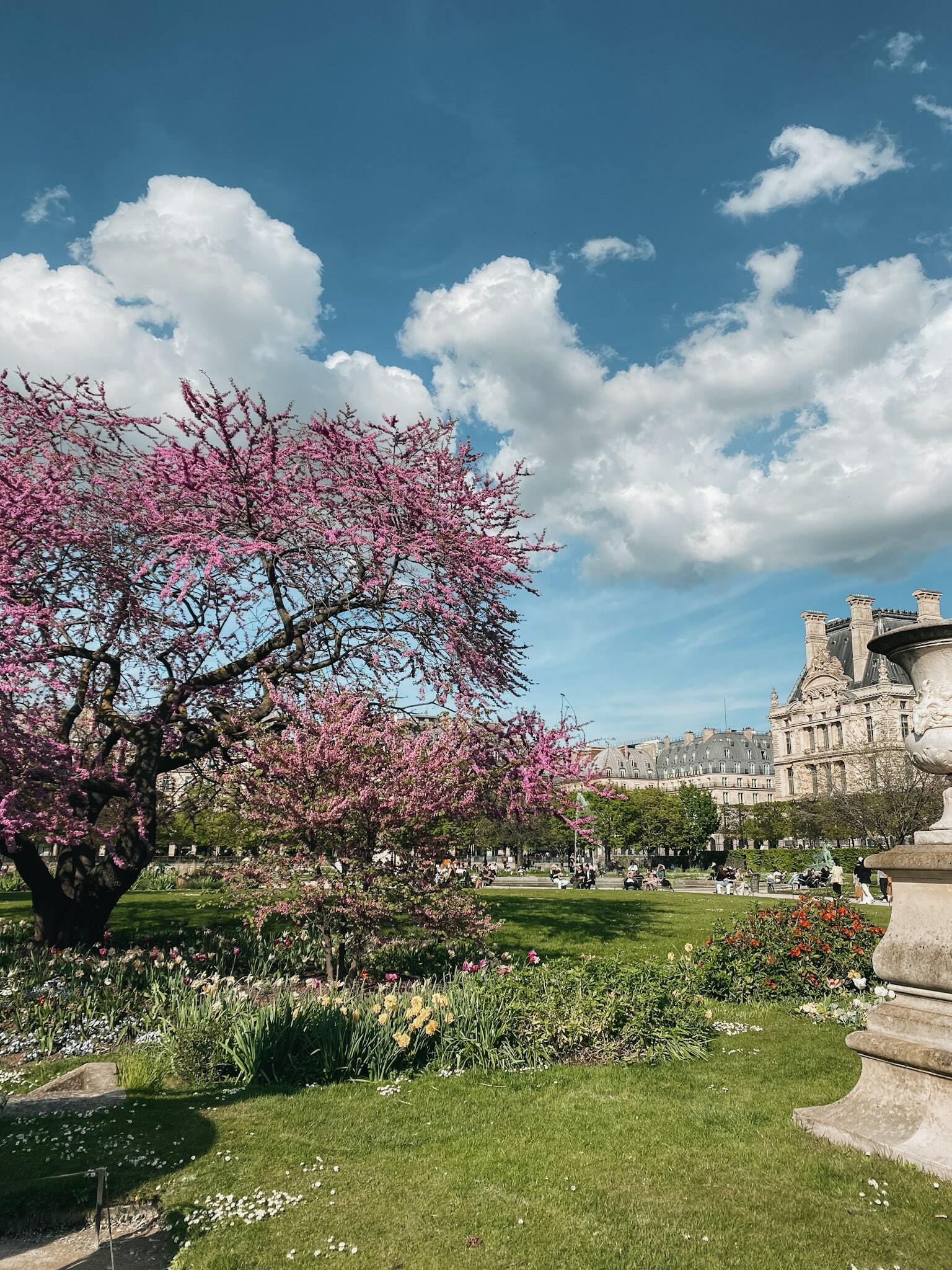 cuándo viajar a parís